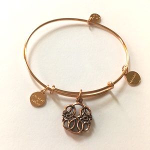 Alex and Ani path of life bracelet